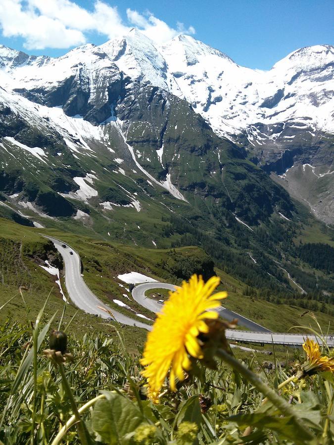 Ridehouse Bed & Breakfast Schladming Eksteriør bilde