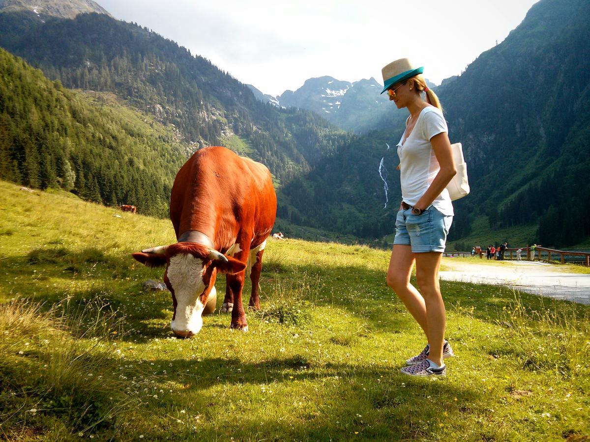 Ridehouse Bed & Breakfast Schladming Eksteriør bilde